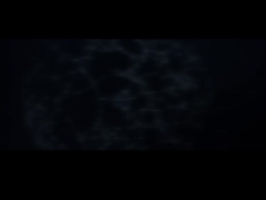 Xingweihan Company Promotional Video